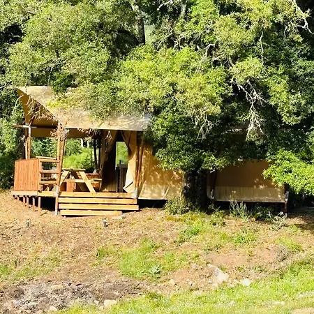 Lodge A Nassa Olivese Exterior photo