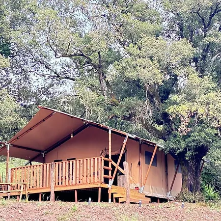 Lodge A Nassa Olivese Exterior photo