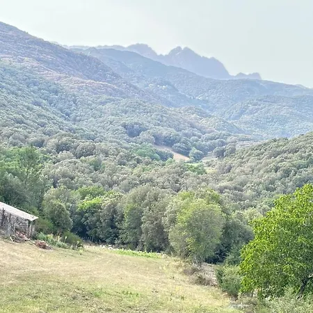 Lodge A Nassa Olivese Exterior photo
