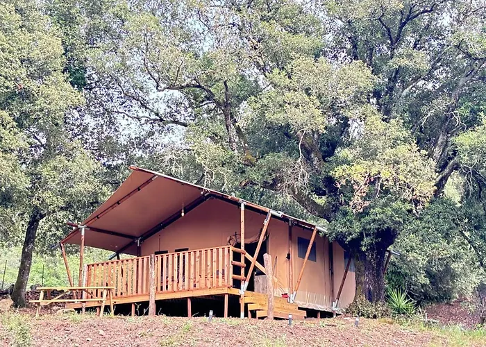 Lodge A Nassa