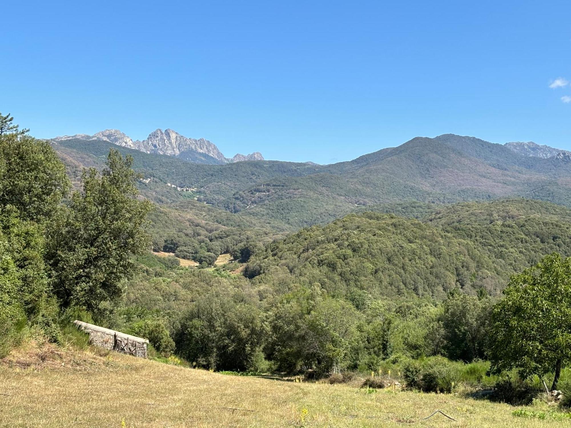 Luxury tent A Nassa Olivese