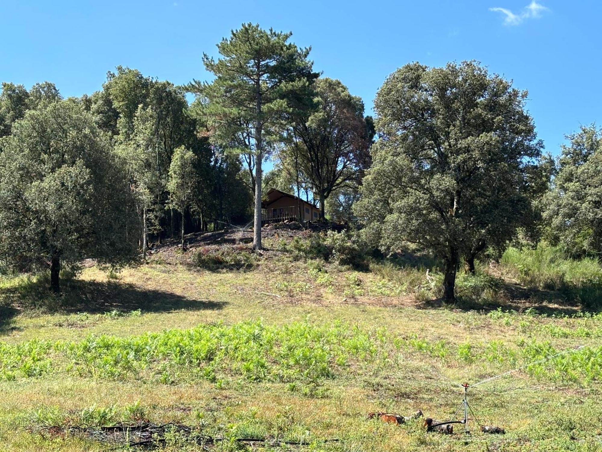 Campo de lujo A Nassa