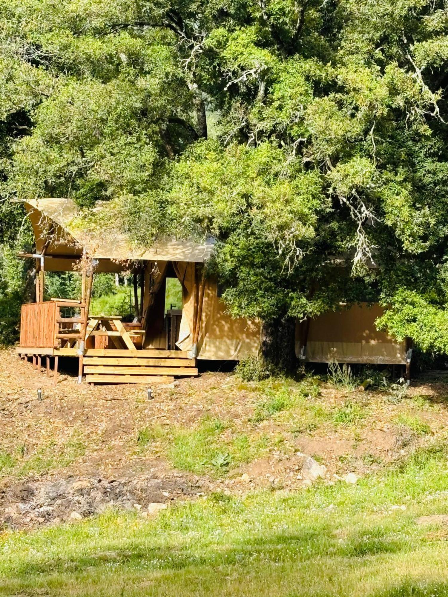 A Nassa Luxury tent
