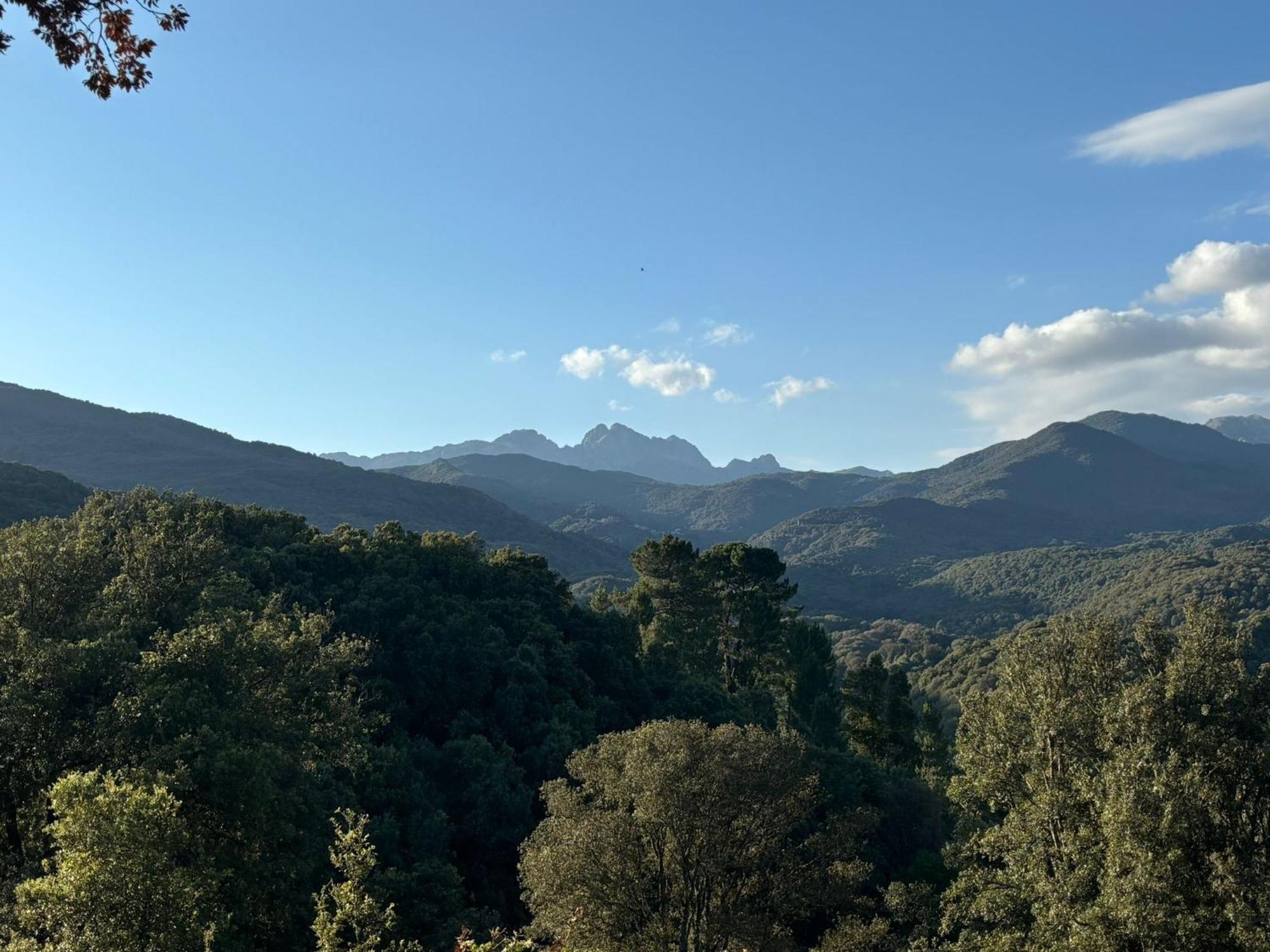 A Nassa Campo de lujo *