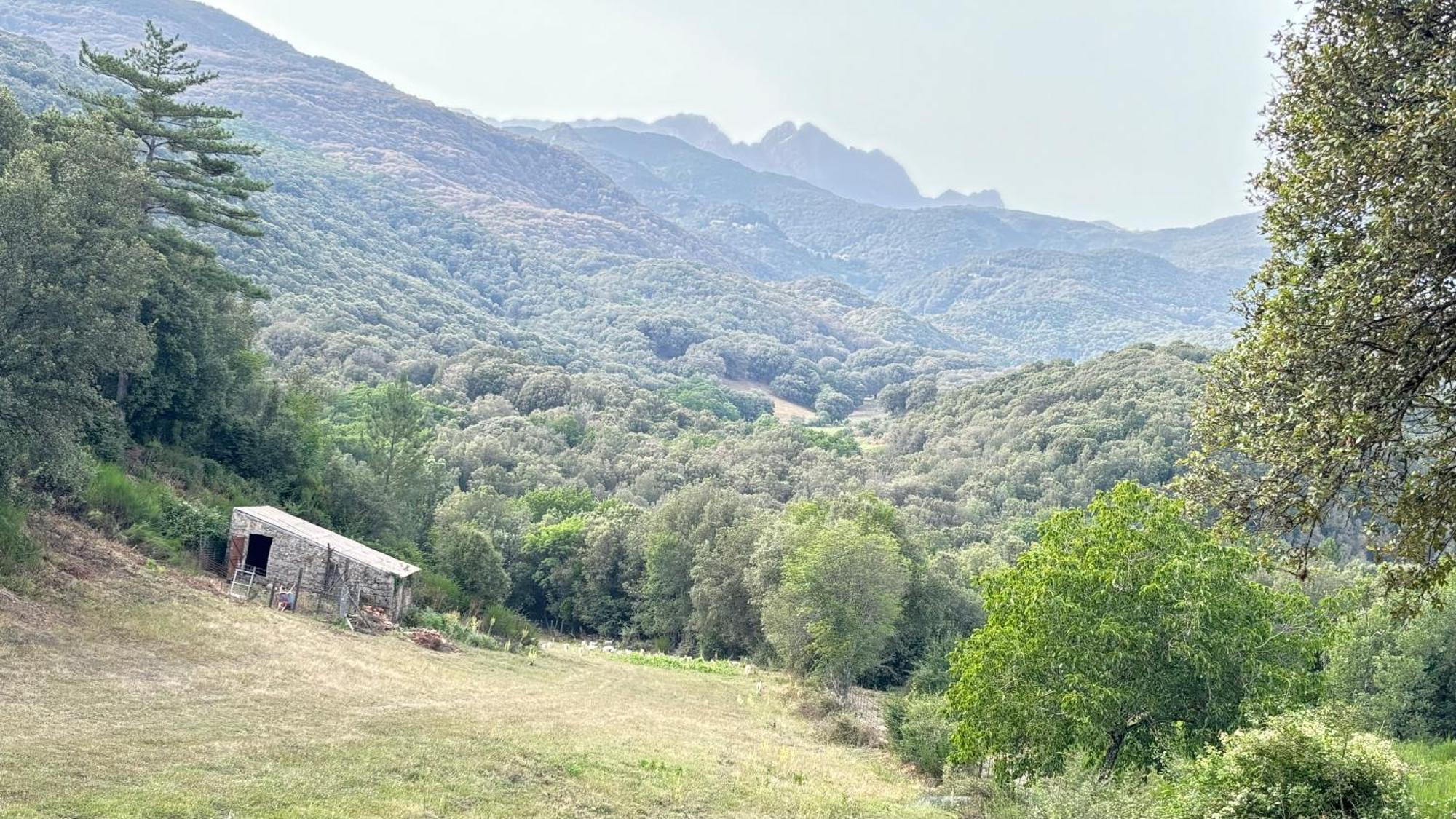 Luxury tent A Nassa *
